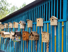 В Благовещенске представили лучшие практики работы с детьми-инвалидами и детьми с ОВЗ