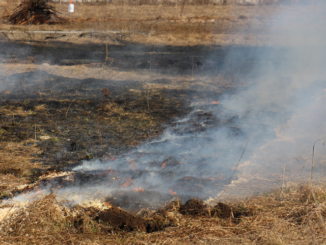 Работает пожарный патруль: благовещенцам напоминают об опасности возникновения палов