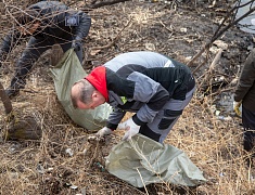 Мэр Благовещенска Олег Имамеев вместе с фан-клубом города очистил еще одну городскую территорию