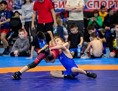 Столица Приамурья стала площадкой для соревнования по вольной борьбе