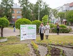 Фестиваль цветов «Город в цвете»