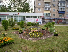 Фестиваль цветов «Город в цвете»