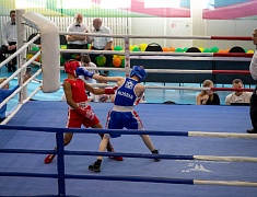 В Благовещенске состоялся турнир по боксу, посвященный памяти мастера спорта СССР Виктора Лихогра