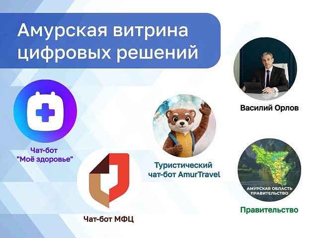 В Амурской области запустили единую цифровую платформу