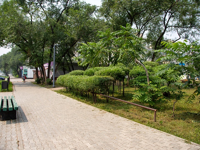 Прогноз погоды в Благовещенске на 20 мая: