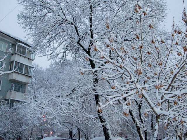 Сколько осадков выпало на Благовещенск?