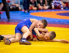 Открытое первенство Благовещенска по спортивной борьбе «VII Наследие ТРОИ»