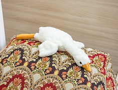 Торжественная церемония открытия  общежития №1 ДальГАУ после реконструкции прошла в Благовещенске