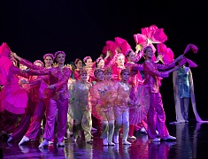 В Благовещенске состоялось открытие Российско-китайского молодежного библиотечного конвента