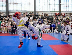 Почти три сотни спортсменов собрал турнир по тхэквондо в Благовещенске