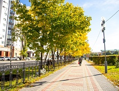 В Благовещенске приступили к осеннему озеленению