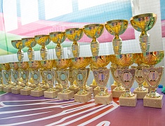 Открытое первенство города по бадминтону «Нефритовый волан»