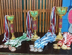 Фестиваль трудовых коллективов ГТО