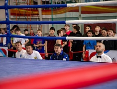 В спорткомплексе «Юность» стартовали соревнования по боксу среди юношей 13-14 лет