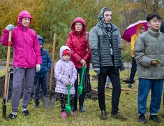 Аллею из сирени в 1,5 километра высадили в отдаленном районе Благовещенска