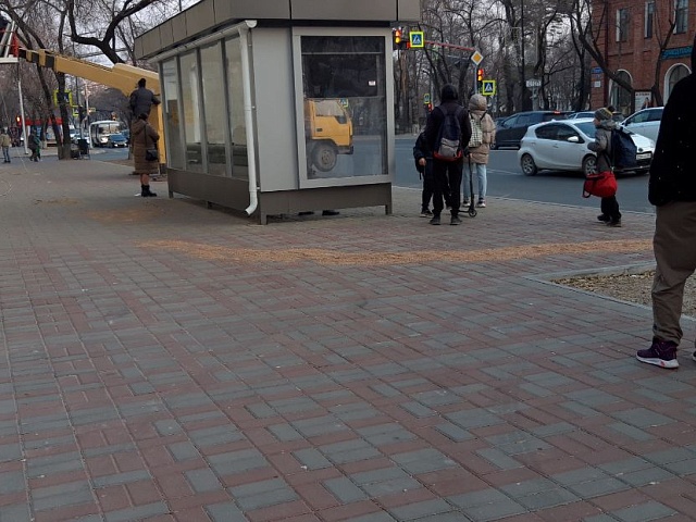 В Благовещенске неизвестный рассыпал зерно в центре города 