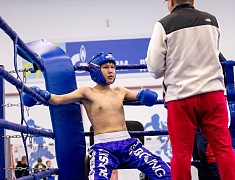 Фестиваль единоборств «Знамя Победы»