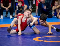 Столица Приамурья стала площадкой для соревнования по вольной борьбе