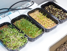 В районе Сплавной конторы открыли модельную библиотеку