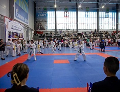 Почти три сотни спортсменов собрал турнир по тхэквондо в Благовещенске