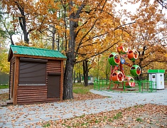В Благовещенском Первомайском парке продолжается второй этап реконструкции