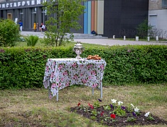 Фестиваль цветов «Город в цвете»