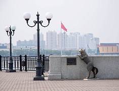 «Гостеприимный город для всех» стартовал в Благовещенске 