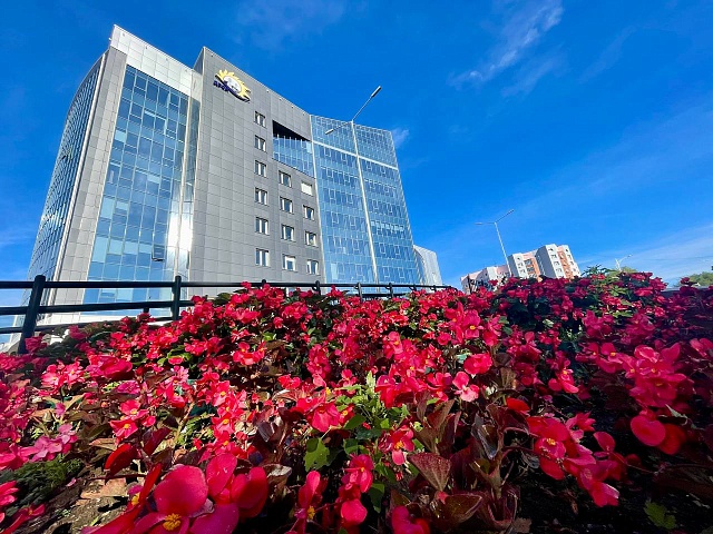 В Благовещенске одна из энергетических компаний утонула в бегониях