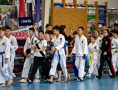 В Благовещенске состоялось открытие Чемпионата по Тхэквандо