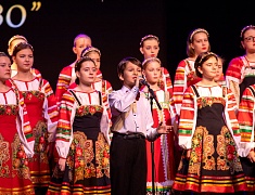 Ведущие коллективы Амурской области провели благотворительный концерт