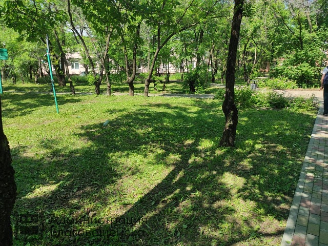 В будние дни и выходные: сотрудники ГСТК ежедневно подравнивают газоны на общественных территориях города