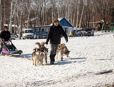 В Благовещенске прошла «Лыжня России»