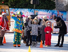 В Благовещенске подвели итоги конкурса снегозавров