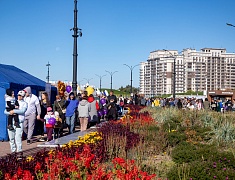 В Благовещенске прошел «Кросс нации»