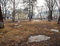 Мэр Благовещенска Олег Имамеев провел выездное совещание по благоустройству сквера водников