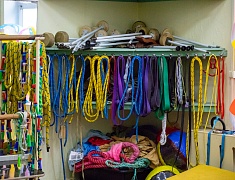 Благовещенская цирковая студия «Левентино» обучает детей по сертификатам персонифицированного финансирования