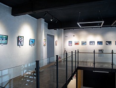 В Благовещенске определили победителей «Спорта в искусстве»