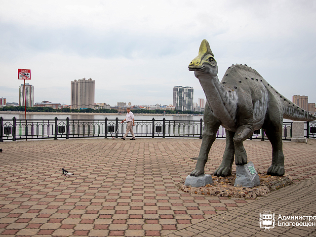 Благовещенск планирует получить звание города с самой длинной речной набережной