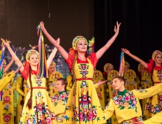 Ведущие коллективы Амурской области провели благотворительный концерт