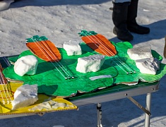 В Благовещенске выбрали лучшие "Балалайки для зайки"