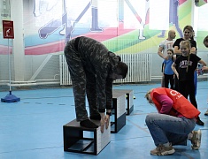 Фестиваль ГТО среди семейных команд 