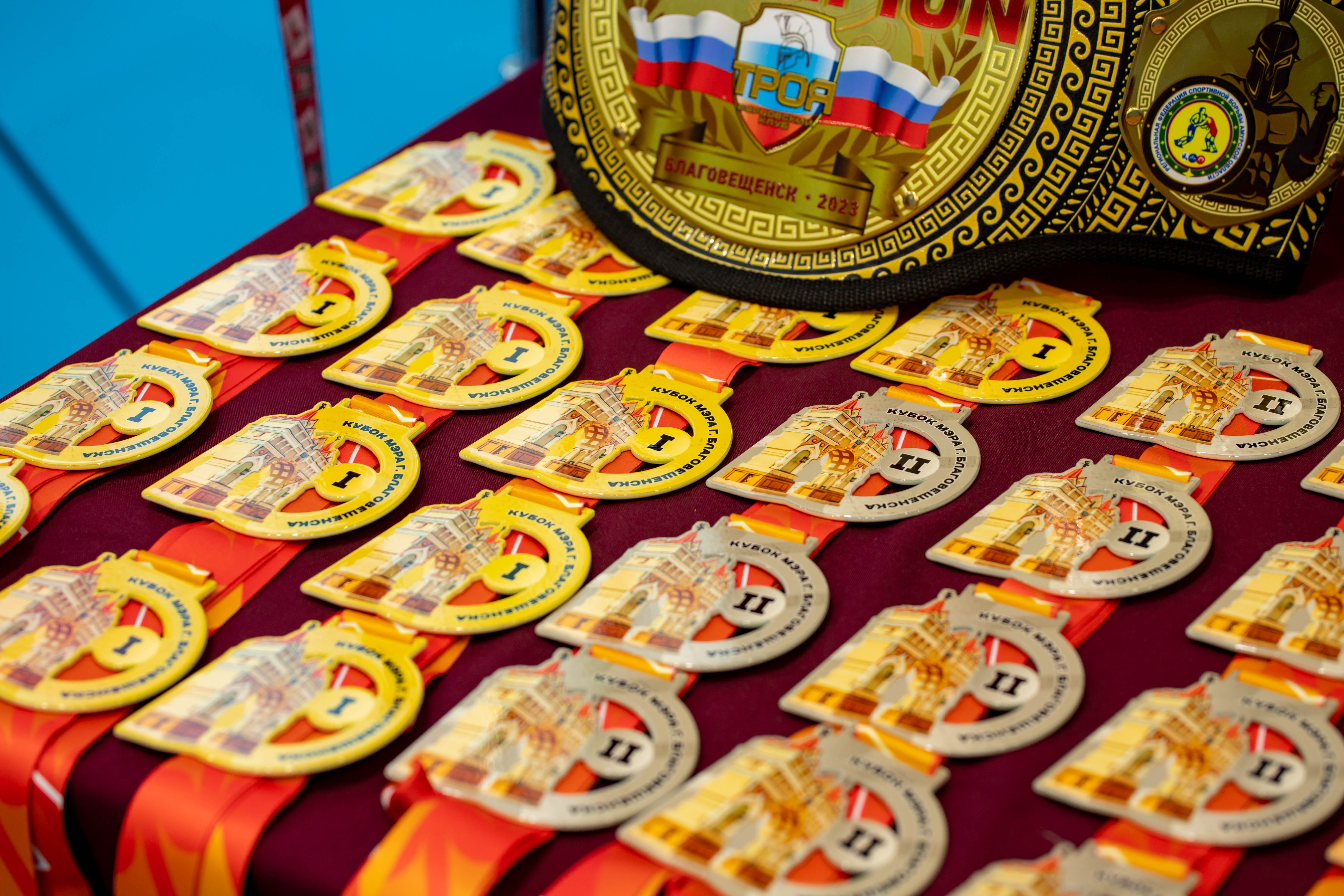 Столица Приамурья стала площадкой для соревнования по вольной борьбе