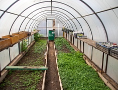 В Благовещенске представили лучшие практики работы с детьми-инвалидами и детьми с ОВЗ