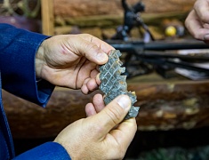 Автобус Победы вернулся в Благовещенск