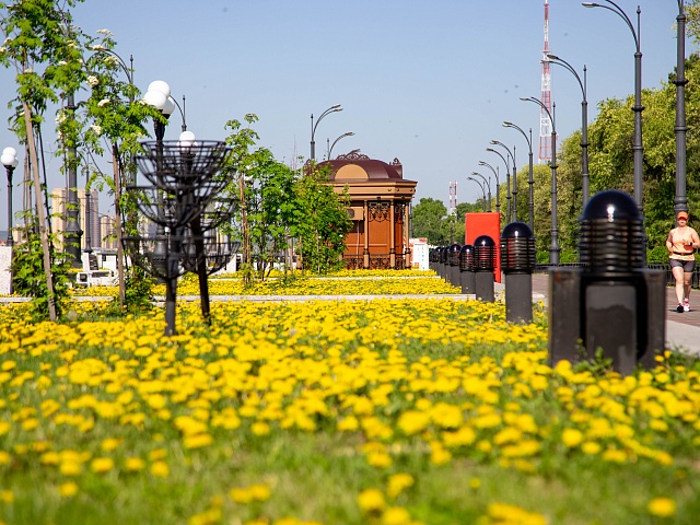 Благовещенск вошел в десятку «Умных городов» России в цифровизации городского хозяйства