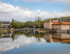 Российско-китайские обмены семьями