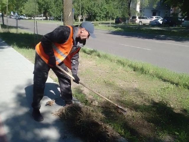 Коммунальщики озеленяют амурскую столицу