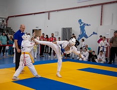 В Благовещенске в ФОКе на Набережной развернулся чемпионат по шинкиокушинкай карате