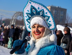 В Благовещенске подвели итоги конкурса снегозавров