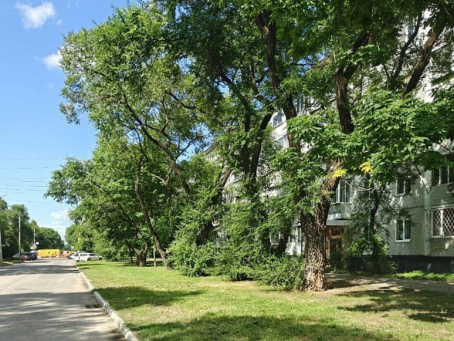 Зелёный патруль трудится на улицах города